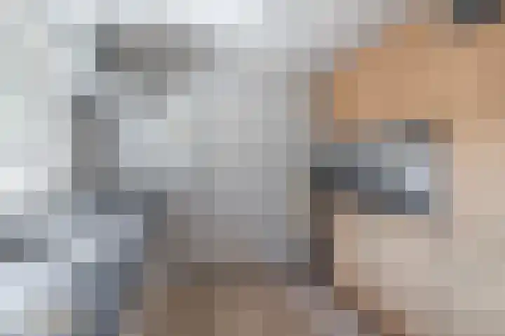 Levroy 5 Swalmen thumbnail 10