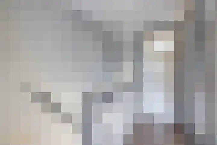 Levroy 5 Swalmen thumbnail 20