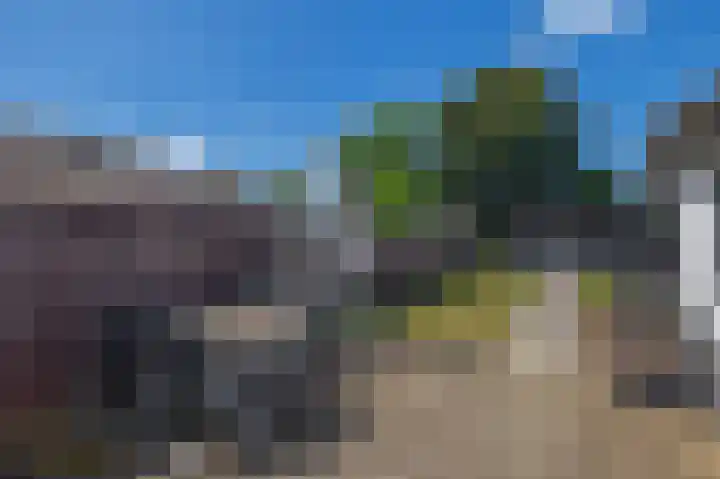 Levroy 5 Swalmen thumbnail 25