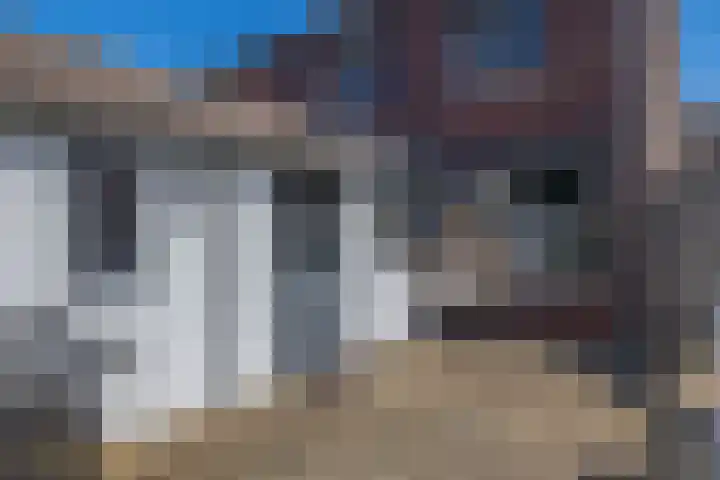 Levroy 5 Swalmen thumbnail 26
