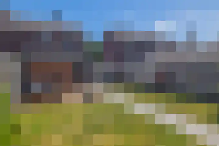 Levroy 5 Swalmen thumbnail 28