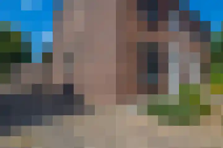 Levroy 5 Swalmen thumbnail 31