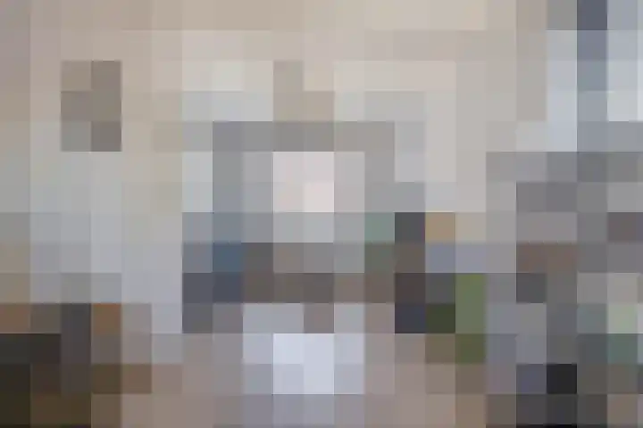 Levroy 5 Swalmen thumbnail 4