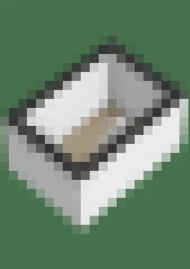 Levroy 5 Swalmen thumbnail 42