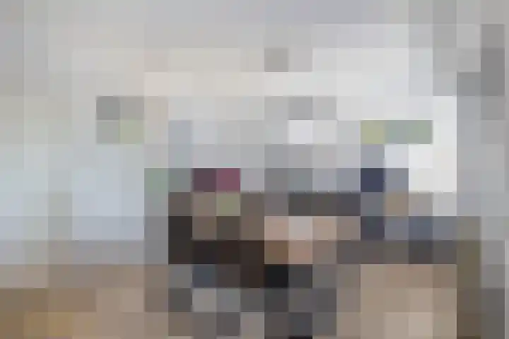 Levroy 5 Swalmen thumbnail 7
