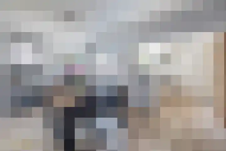 Levroy 5 Swalmen thumbnail 8