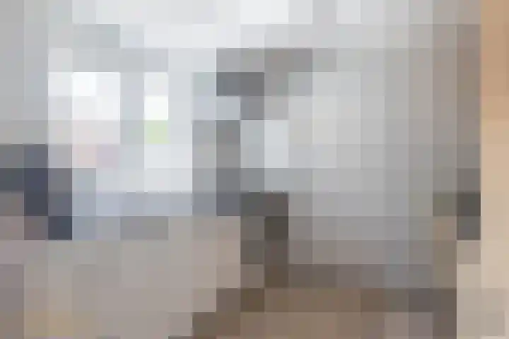 Levroy 5 Swalmen thumbnail 9