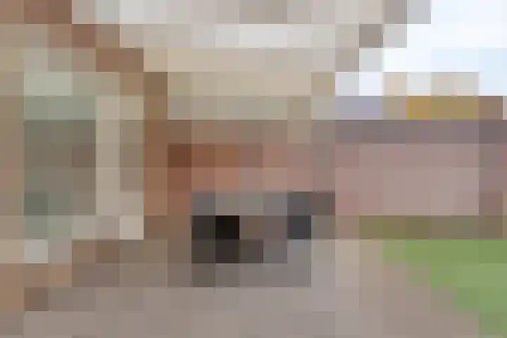 Levylaan 24 Eindhoven thumbnail 34