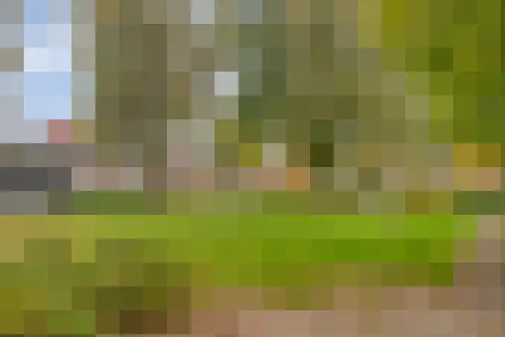 Levylaan 24 Eindhoven thumbnail 39