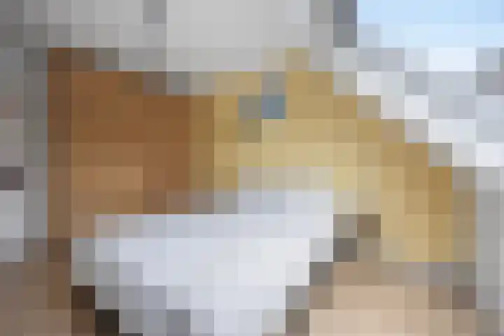 Leyborch 17 Rosmalen thumbnail 10