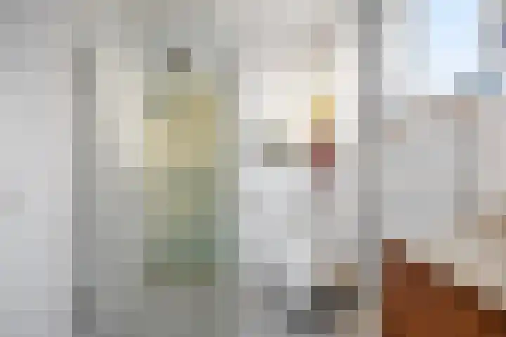 Leyborch 17 Rosmalen thumbnail 14