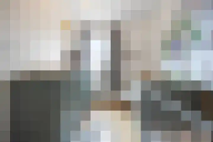 Leyborch 17 Rosmalen thumbnail 15