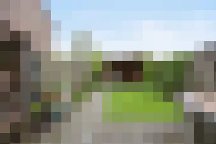 Leyborch 17 Rosmalen thumbnail 22