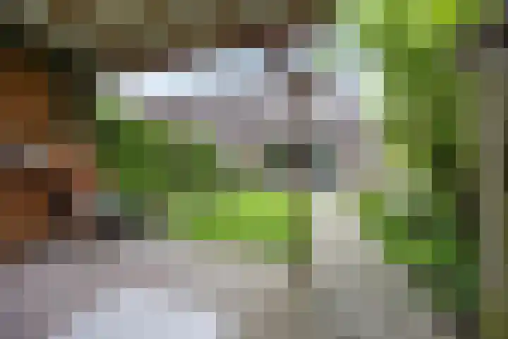 Leyborch 17 Rosmalen thumbnail 24