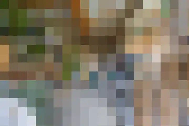 Leyborch 17 Rosmalen thumbnail 25