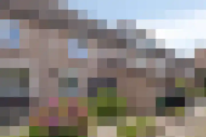 Leyborch 24 Rosmalen thumbnail 19