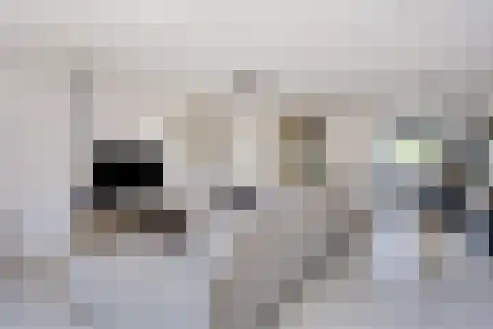 Leyborch 24 Rosmalen thumbnail 4