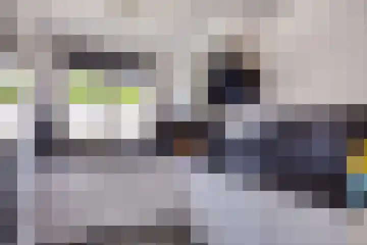 Leyborch 24 Rosmalen thumbnail 6