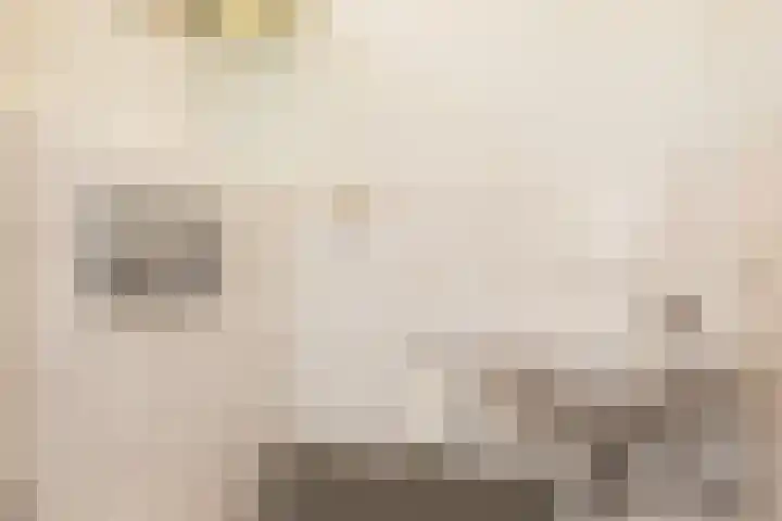Leyendecker 1 Kerkrade thumbnail 5