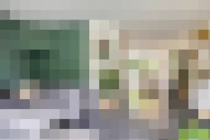 Leygraaf 309 Oss thumbnail 10