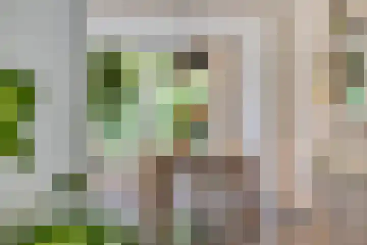 Leygraaf 309 Oss thumbnail 11