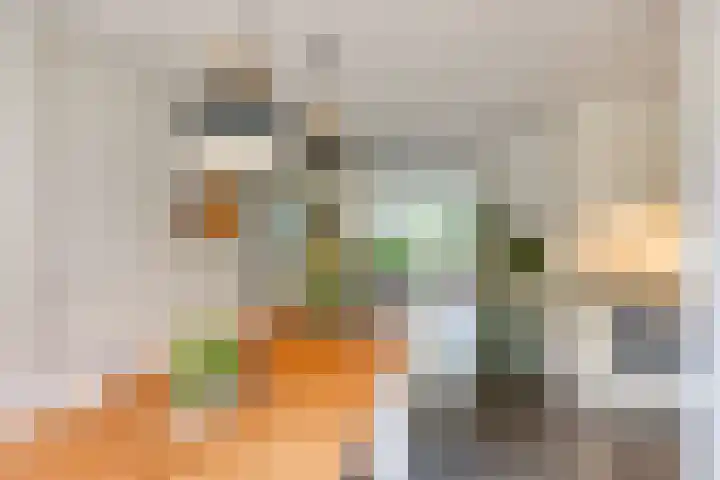 Leygraaf 309 Oss thumbnail 12
