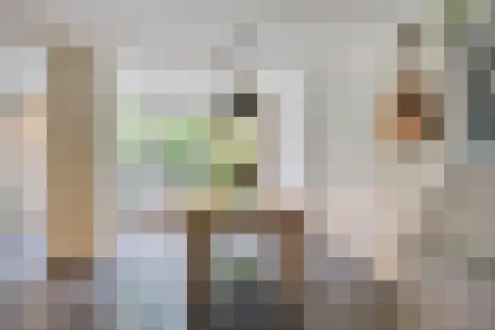 Leygraaf 309 Oss thumbnail 13