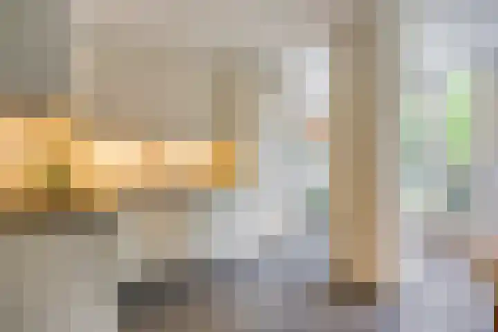 Leygraaf 309 Oss thumbnail 14