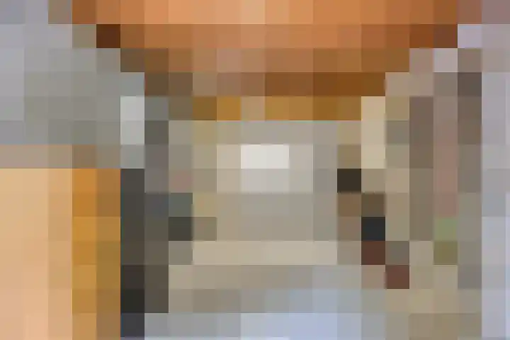 Leygraaf 309 Oss thumbnail 16