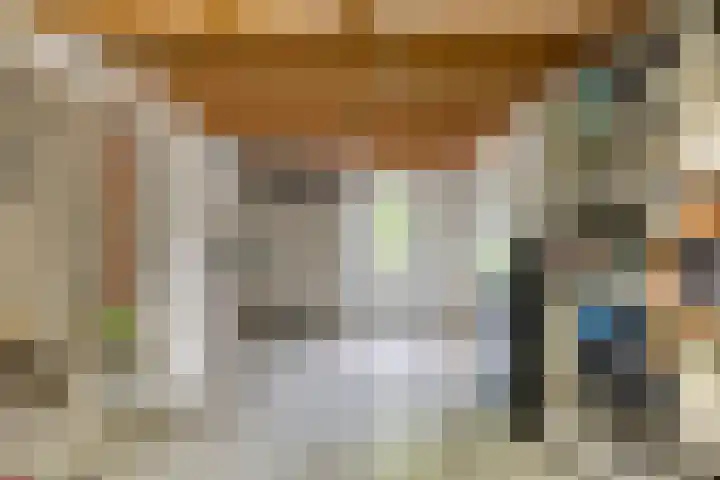 Leygraaf 309 Oss thumbnail 17