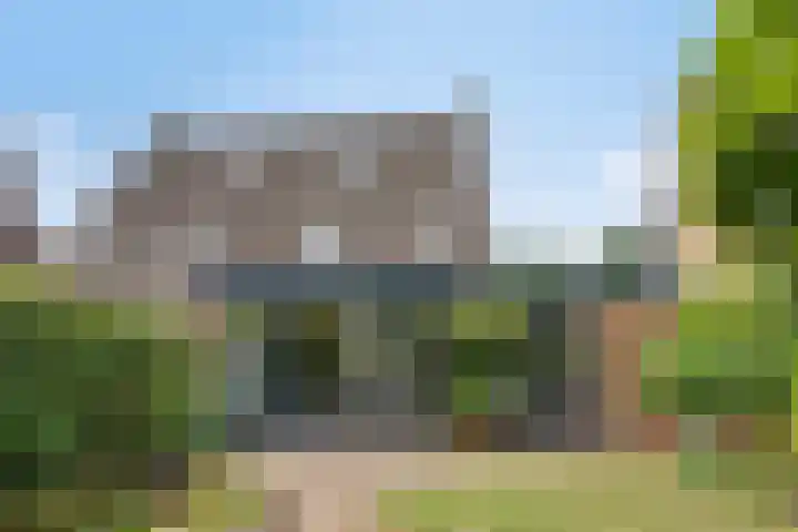 Leygraaf 309 Oss thumbnail 18