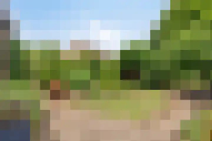 Leygraaf 309 Oss thumbnail 19