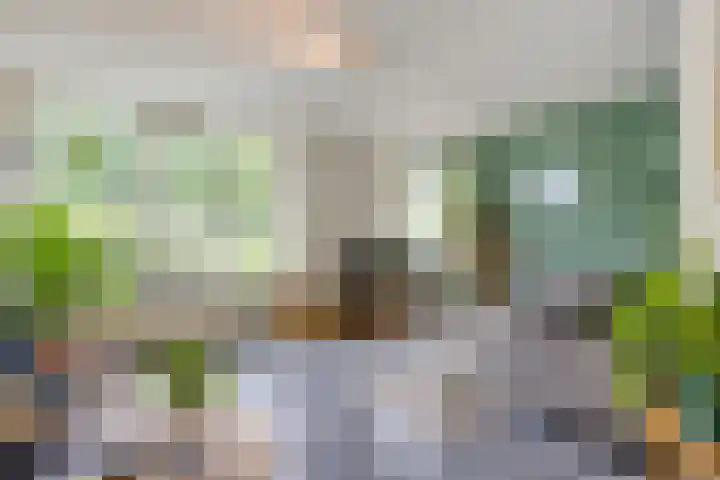 Leygraaf 309 Oss foto 2