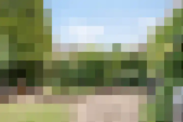 Leygraaf 309 Oss thumbnail 20