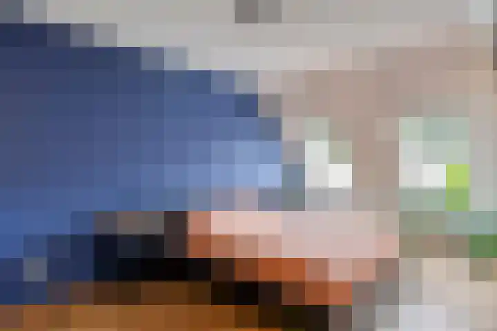 Leygraaf 309 Oss thumbnail 25