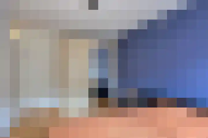 Leygraaf 309 Oss thumbnail 26