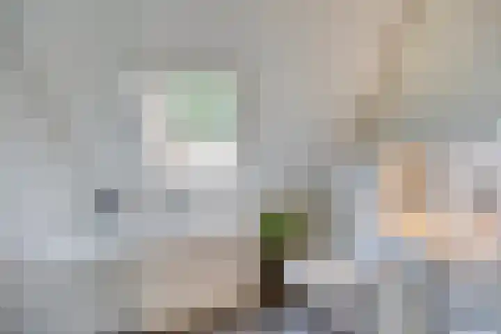 Leygraaf 309 Oss thumbnail 27