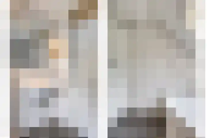 Leygraaf 309 Oss thumbnail 28