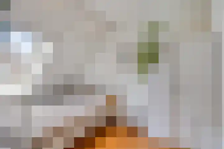 Leygraaf 309 Oss thumbnail 29