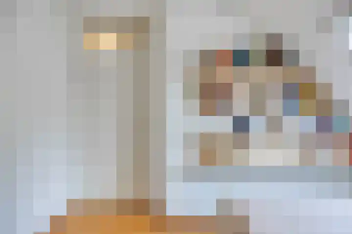 Leygraaf 309 Oss thumbnail 30