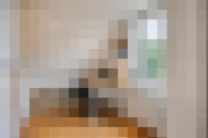 Leygraaf 309 Oss thumbnail 31
