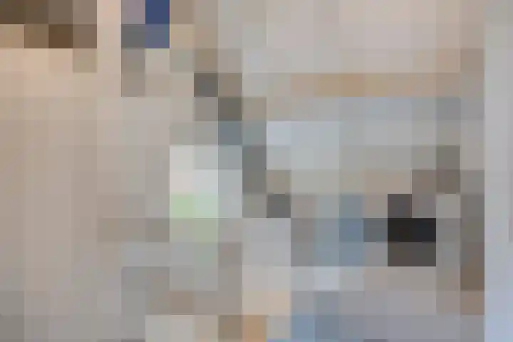 Leygraaf 309 Oss thumbnail 34