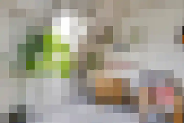 Leygraaf 309 Oss thumbnail 35