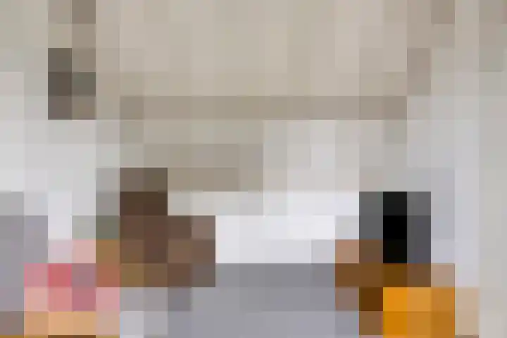 Leygraaf 309 Oss thumbnail 36