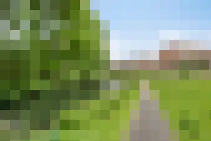 Leygraaf 309 Oss thumbnail 39