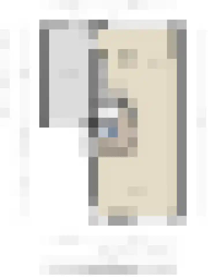 Leygraaf 309 Oss thumbnail 42