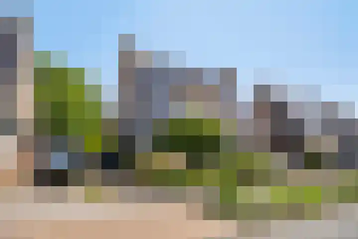 Leygraaf 309 Oss thumbnail 45