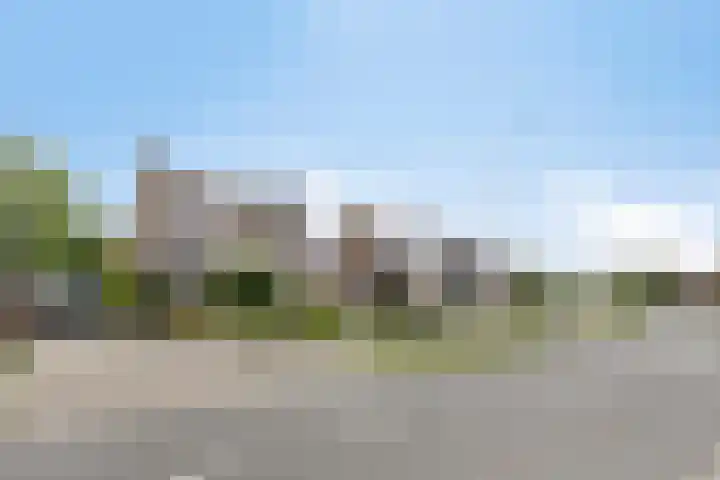 Leygraaf 309 Oss thumbnail 5