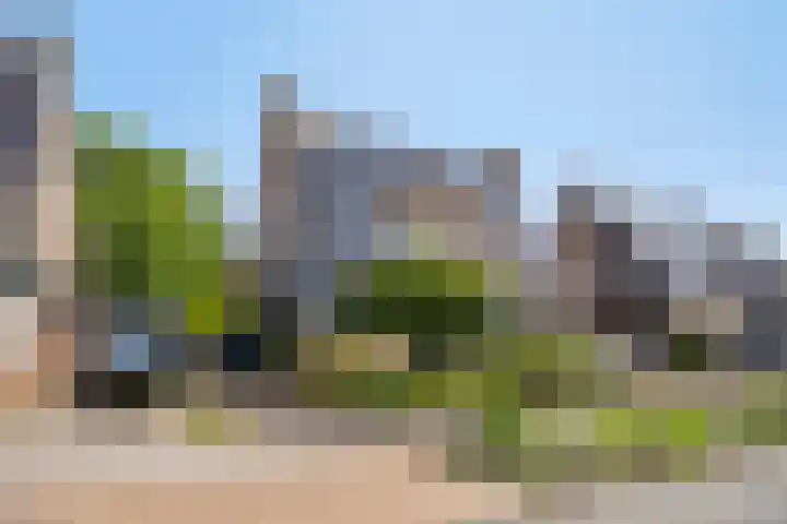 Leygraaf 309 Oss thumbnail 6