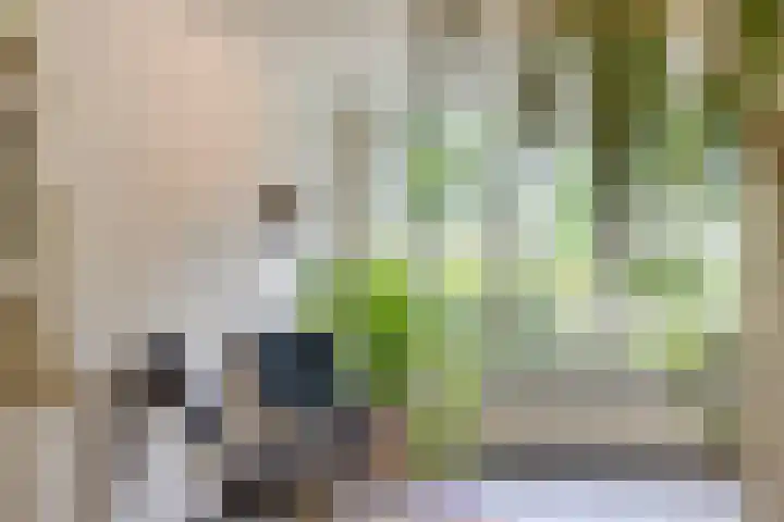 Leygraaf 309 Oss thumbnail 8